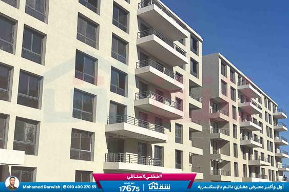 WhatsApp Image 2026-04-04 at 10.41.33 AM (1)