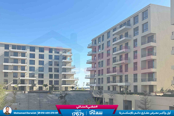 WhatsApp Image 2026-04-04 at 10.41.34 AM