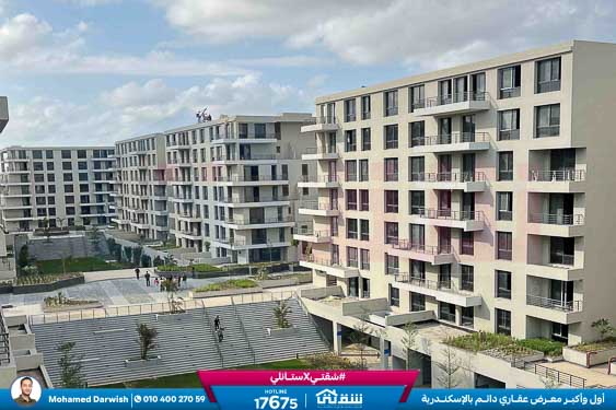 WhatsApp Image 2026-04-04 at 10.41.35 AM (1)