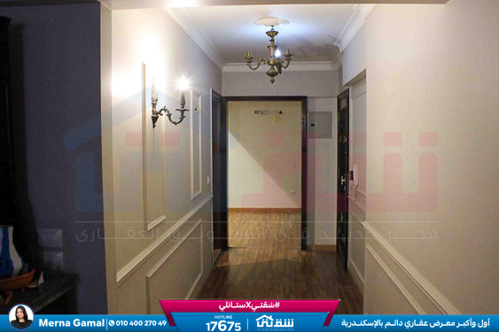 WhatsApp Image 2026-04-06 at 11.29.49 AM (1)