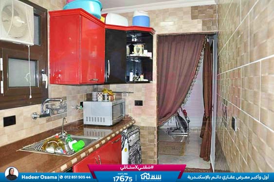 WhatsApp Image 2026-04-08 at 4.08.10 PM (1)