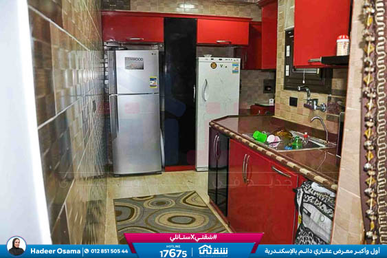 WhatsApp Image 2026-04-08 at 4.08.10 PM (2)