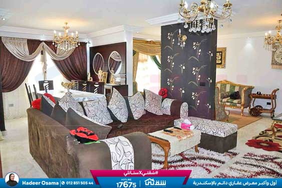 WhatsApp Image 2026-04-08 at 4.08.21 PM