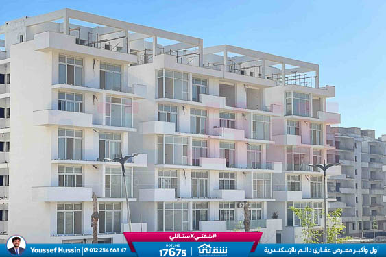 WhatsApp Image 2026-04-08 at 4.08.22 PM (1)