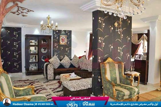 WhatsApp Image 2026-04-08 at 4.08.24 PM (1)