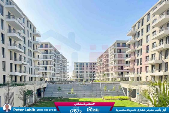 WhatsApp Image 2026-04-09 at 12.47.00 PM (1)