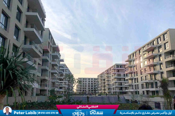 WhatsApp Image 2026-04-09 at 12.47.00 PM