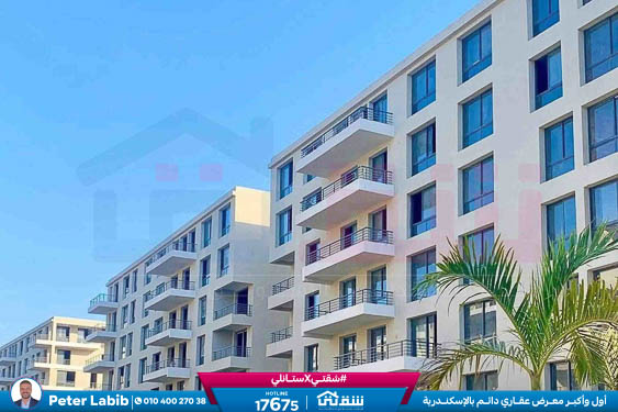 WhatsApp Image 2026-04-09 at 12.47.01 PM (1)