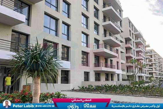 WhatsApp Image 2026-04-09 at 12.47.01 PM (2)