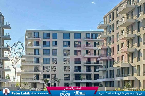 WhatsApp Image 2026-04-09 at 12.47.01 PM (3)