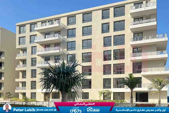 WhatsApp Image 2026-04-09 at 12.47.01 PM