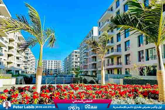 WhatsApp Image 2026-04-09 at 12.47.02 PM (1)