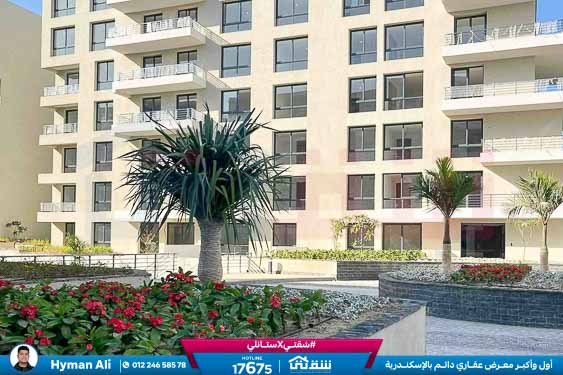 WhatsApp Image 2026-04-09 at 12.48.11 PM