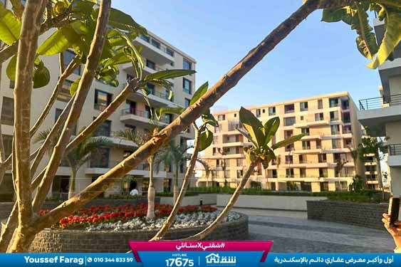 WhatsApp Image 2026-04-09 at 12.52.50 PM