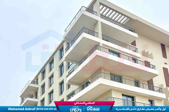 WhatsApp Image 2026-04-09 at 2.44.52 PM (1)