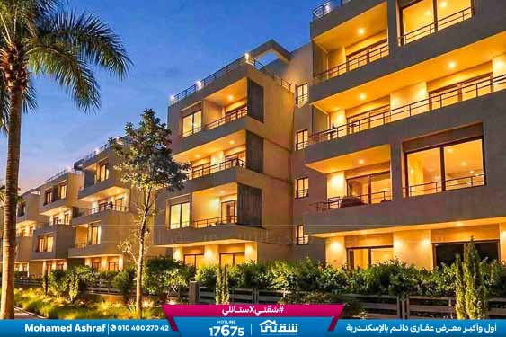 WhatsApp Image 2026-04-09 at 2.44.58 PM