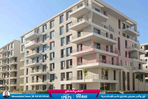 WhatsApp Image 2026-04-09 at 3.03.14 PM