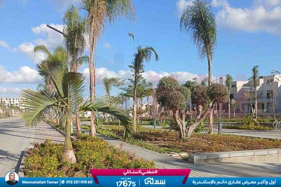 WhatsApp Image 2026-04-09 at 3.03.15 PM