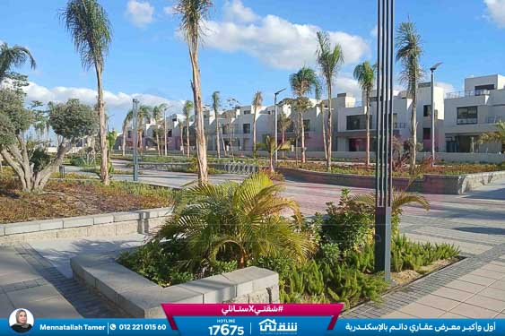 WhatsApp Image 2026-04-09 at 3.03.16 PM