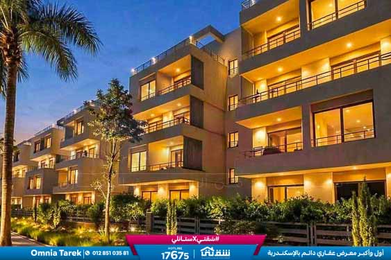 WhatsApp Image 2026-04-09 at 4.21.28 PM