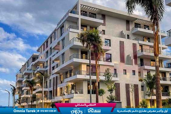 WhatsApp Image 2026-04-09 at 4.21.29 PM