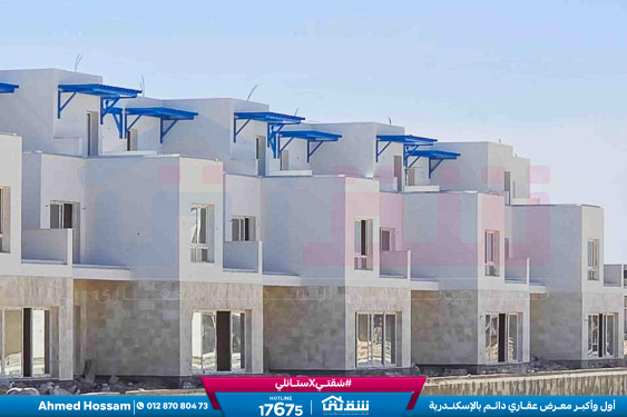 WhatsApp Image 2026-04-11 at 10.20.00 AM (1)