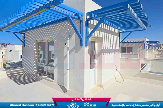 WhatsApp Image 2026-04-11 at 10.20.04 AM