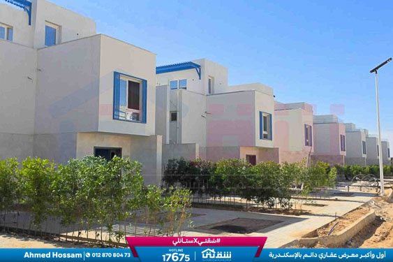 WhatsApp Image 2026-04-11 at 10.20.06 AM (1)