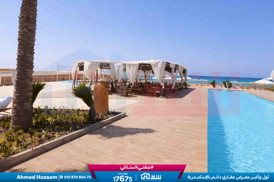 WhatsApp Image 2026-04-11 at 10.20.07 AM