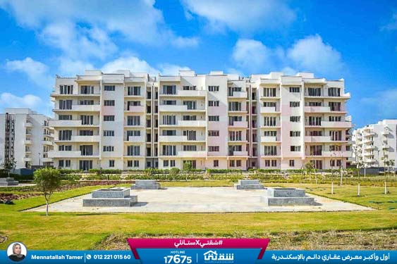 WhatsApp Image 2026-04-11 at 10.43.08 AM (1)