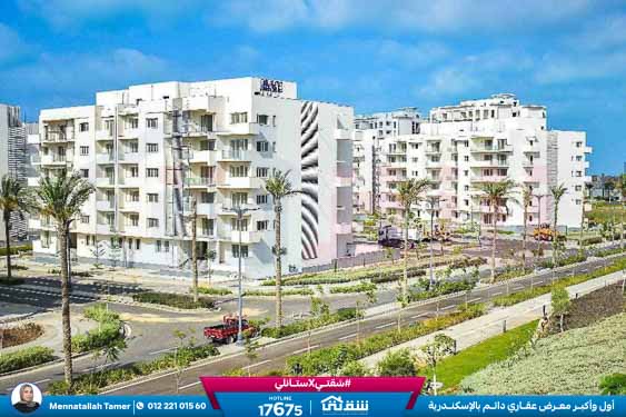 WhatsApp Image 2026-04-11 at 10.43.09 AM