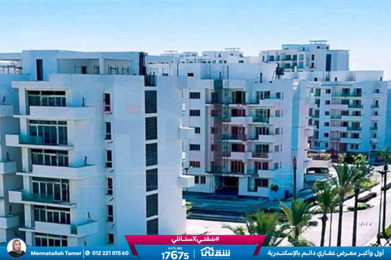 WhatsApp Image 2026-04-11 at 10.43.11 AM