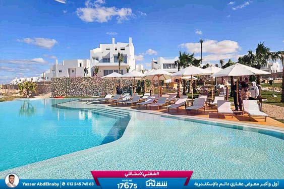 WhatsApp Image 2026-04-11 at 11.05.22 AM