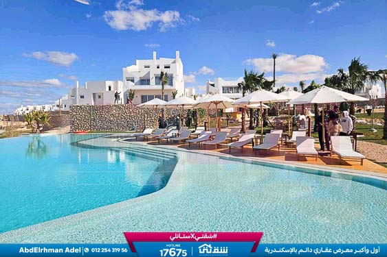 WhatsApp Image 2026-04-11 at 11.05.22 AM