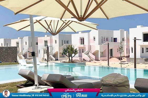 WhatsApp Image 2026-04-11 at 11.05.23 AM