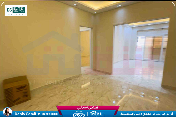 WhatsApp Image 2026-04-11 at 2.45.14 PM