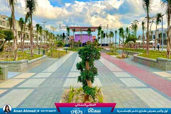 WhatsApp Image 2026-04-11 at 3.52.14 PM