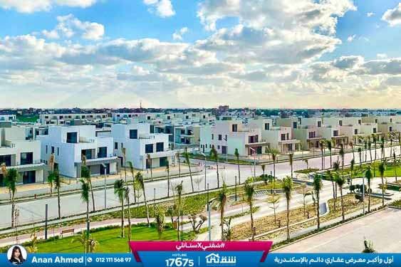 WhatsApp Image 2026-04-11 at 3.52.15 PM (1)