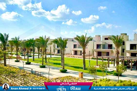 WhatsApp Image 2026-04-11 at 3.52.16 PM