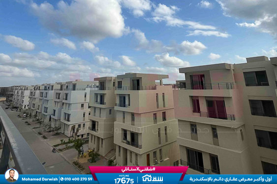 WhatsApp Image 2026-04-11 at 9.55.32 AM (1)