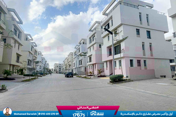 WhatsApp Image 2026-04-11 at 9.55.32 AM