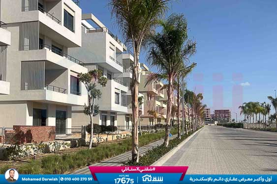 WhatsApp Image 2026-04-11 at 9.55.36 AM (1)