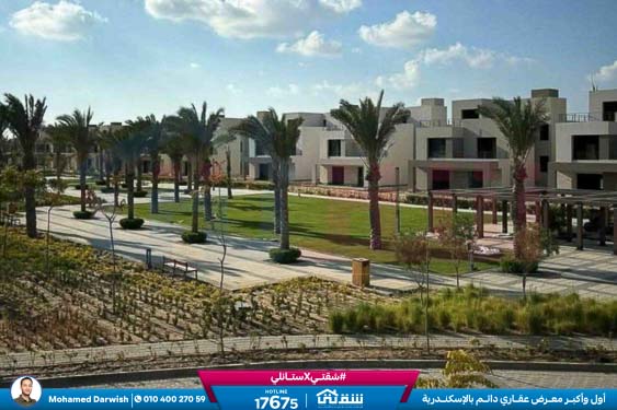 WhatsApp Image 2026-04-11 at 9.55.36 AM (2)