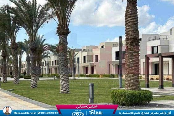 WhatsApp Image 2026-04-11 at 9.55.37 AM (1)