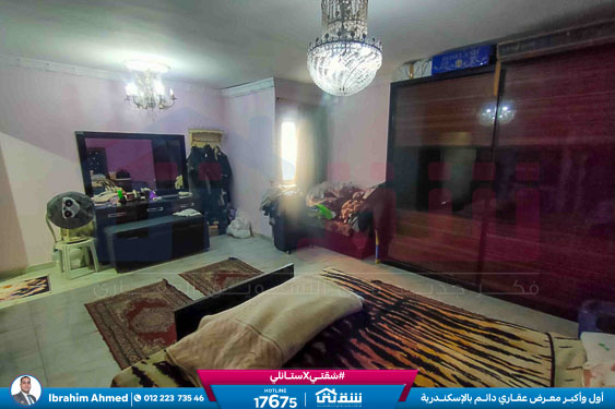 WhatsApp Image 2026-04-12 at 1.01.19 PM