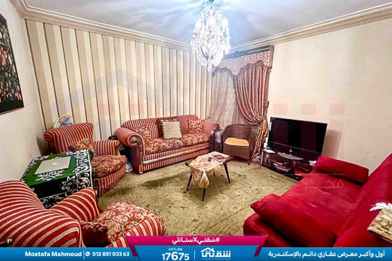 WhatsApp Image 2026-04-12 at 10.07.55 AM (1)