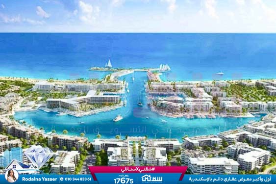 WhatsApp Image 2026-04-12 at 4.51.04 PM