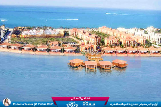 WhatsApp Image 2026-04-12 at 4.51.05 PM (1)