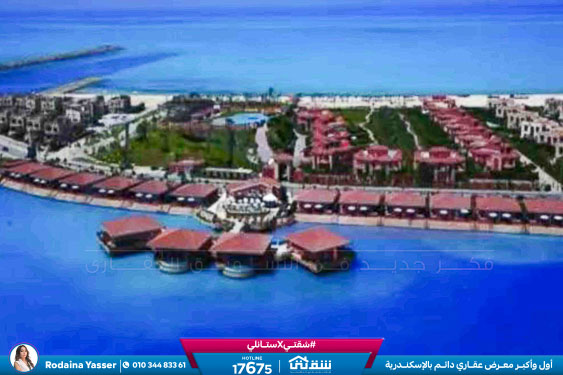 WhatsApp Image 2026-04-12 at 4.51.05 PM