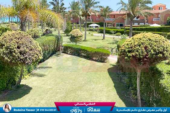 WhatsApp Image 2026-04-12 at 4.51.38 PM (1)